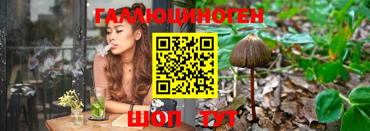 Нижний Тагил  Псилоцибиновые грибы Psilocybe  Галлюциногенные грибы ЛСД  Вход с VPN 