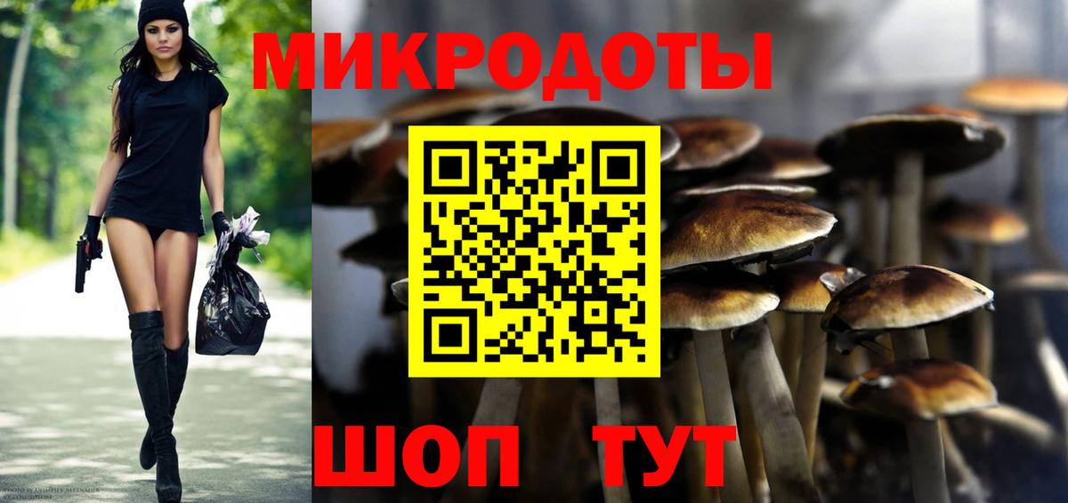 Псилоцибиновые грибы GOLDEN TEACHER Нижний Тагил